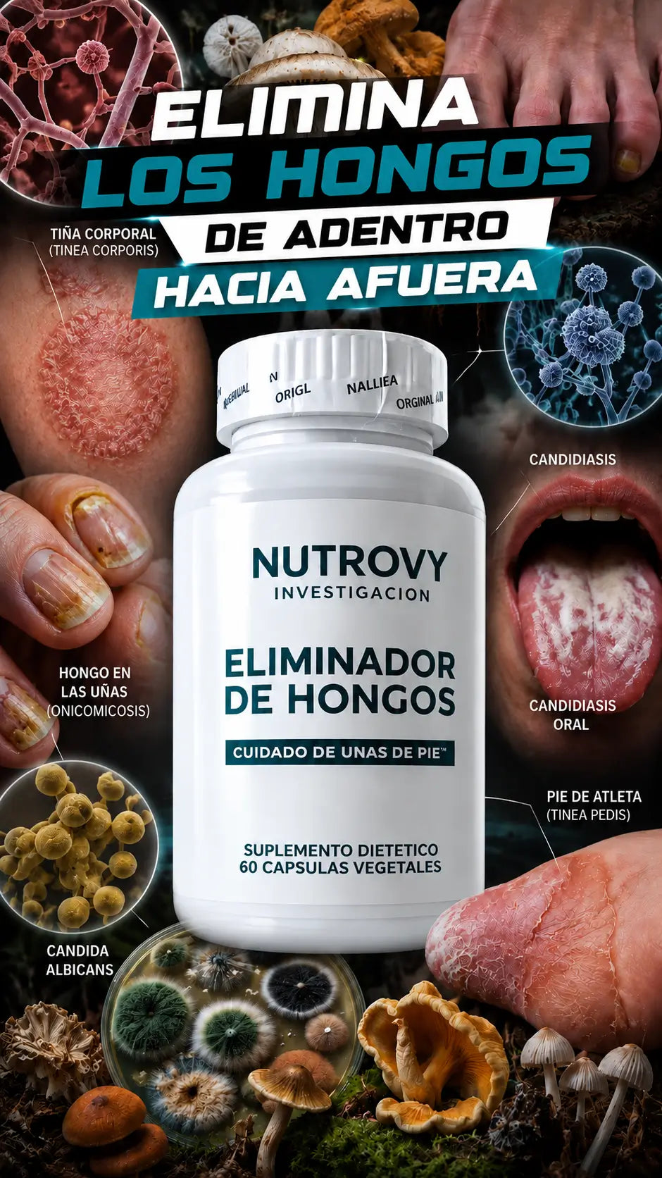 Cargar video: 